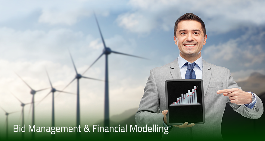 Bid Management & Financial Modelling